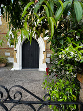 Load image into Gallery viewer, 35 Min Energy Healing
